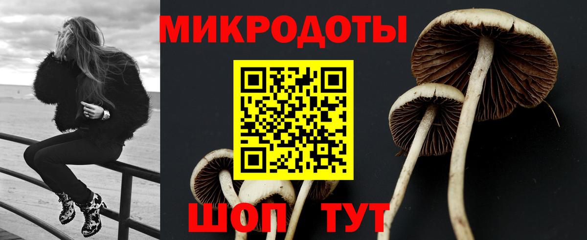 Галлюциногенные грибы Cubensis  Псилоцибиновые грибы Psilocybe  Гусь-Хрустальный  Вход с VPN 